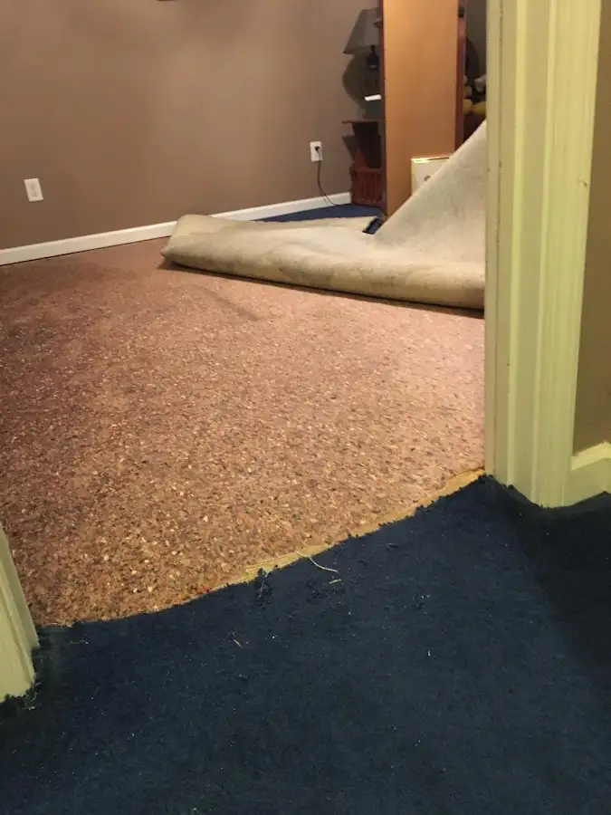 Carpet pad removal revealing water damage during Drying & Dehumidification in Mason