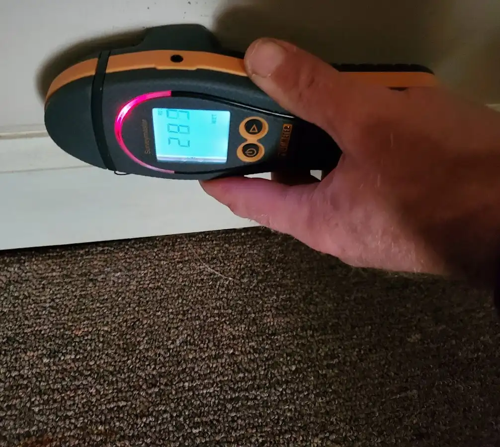 Moisture detection at baseboard during Mold Inspection & Testing in Mason