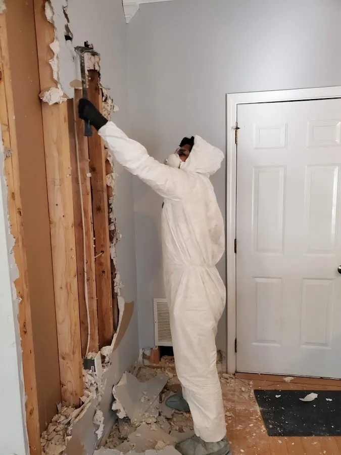 Water Damage Assessment in Mason, MI